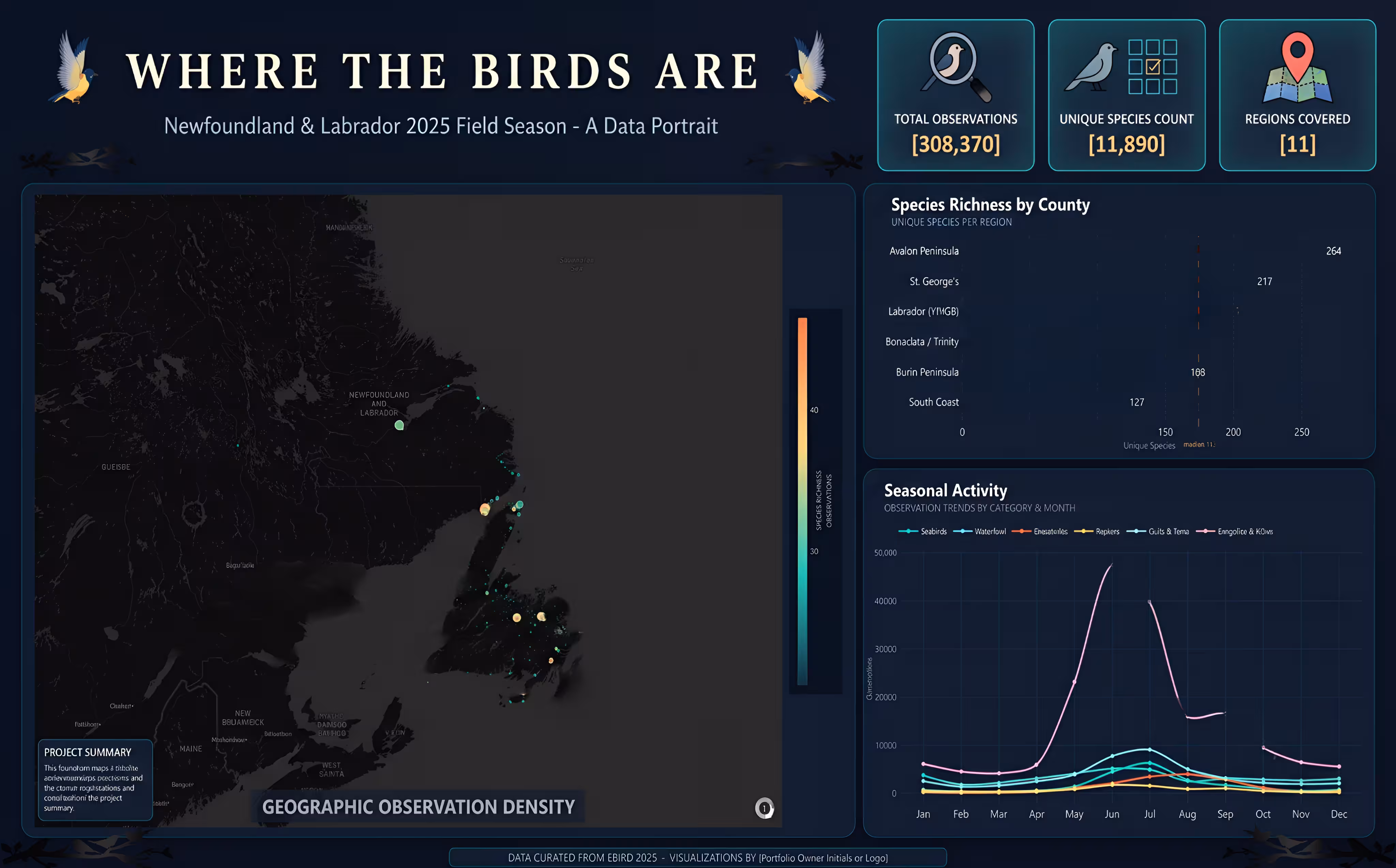 Where the Birds Are data visualization poster